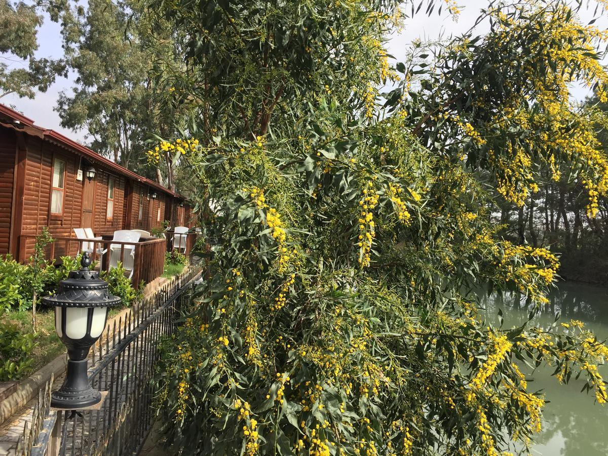Lemonpark House Hotel Antalya Eksteriør billede